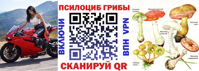 где можно купить   Кораблино  Галлюциногенные грибы Cubensis 